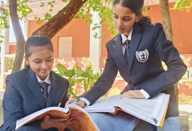 undergraduate education