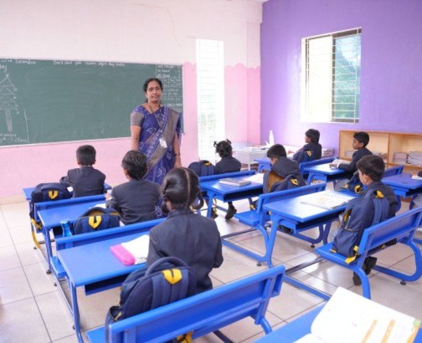 undergraduate education