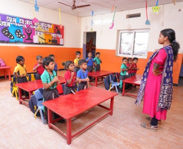 undergraduate education