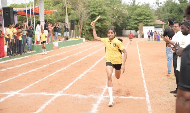 undergraduate education